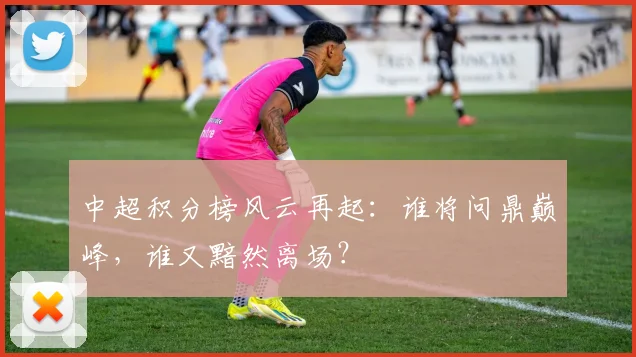 中超积分榜风云再起：谁将问鼎巅峰，谁又黯然离场？