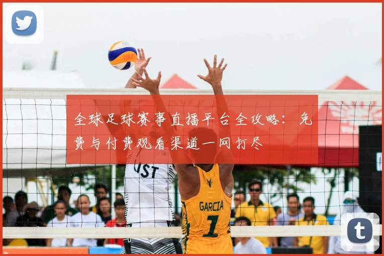 全球足球赛事直播平台全攻略：免费与付费观看渠道一网打尽
